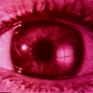 From Vivarium, via <a href=_http_/archive.dlux.org.au/index454c.html?page=artworks&amp;id=138%22>d'archive</a>