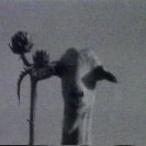 From Wisp, via <a href=_http_/archive.dlux.org.au/indexfeb4.html?page=artworks&amp;id=205%22>d'archive</a>