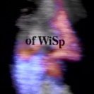 From Wisp, via <a href=_http_/archive.dlux.org.au/indexfeb4.html?page=artworks&amp;id=205%22>d'archive</a>