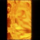 From Without Sleep, via <a href=_http_/archive.dlux.org.au/index8f92.html?page=artworks&amp;id=178%22>d'archive</a>