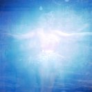 From Wonder, via <a href=_http_/archive.dlux.org.au/index0090.html?page=artworks&amp;id=1054%22>d'archive</a>